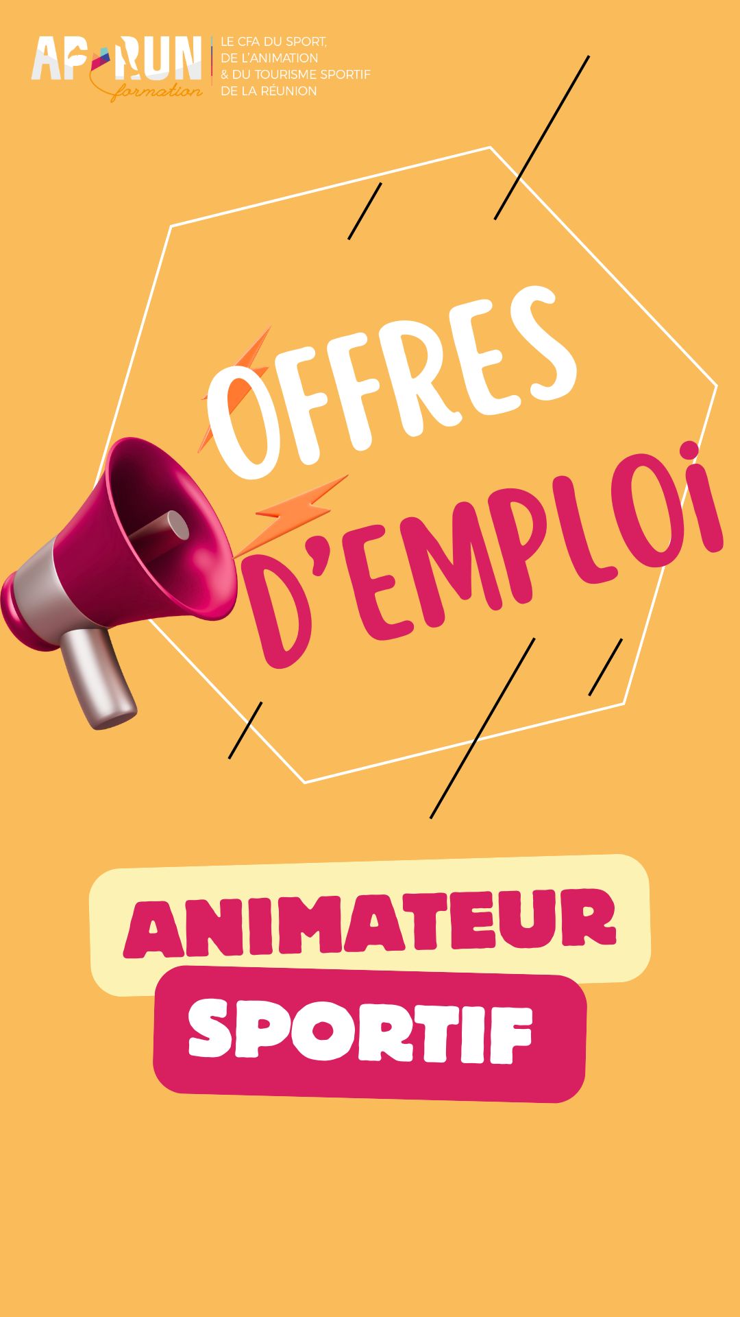 Lire la suite à propos de l’article Animateur sportif (H/F) – Saint-Benoit